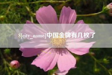 金昌中国金牌有几枚了