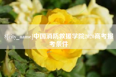 金昌中国消防救援学院2020高考报考条件
