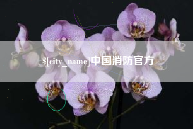 金昌中国消防官方