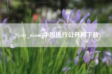金昌中国执行公开网下载