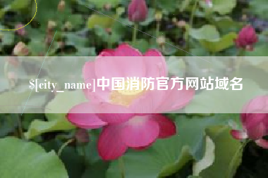 金昌中国消防官方网站域名