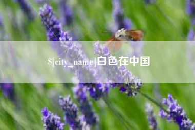 金昌白色在中国