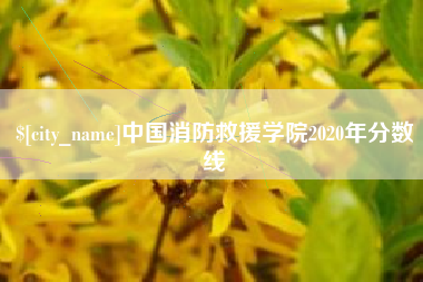 金昌中国消防救援学院2020年分数线