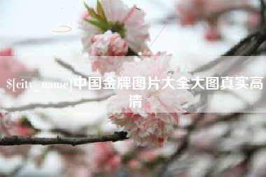 金昌中国金牌图片大全大图真实高清