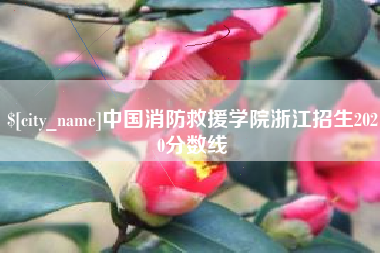 金昌中国消防救援学院浙江招生2020分数线
