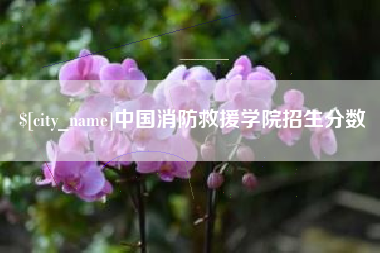 金昌中国消防救援学院招生分数