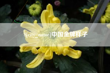 金昌中国金牌样子