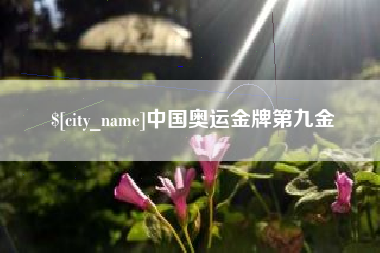 金昌中国奥运金牌第九金