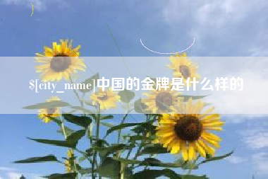 金昌中国的金牌是什么样的
