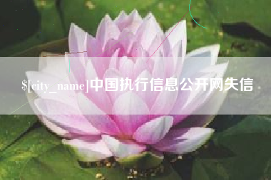 金昌中国执行信息公开网失信
