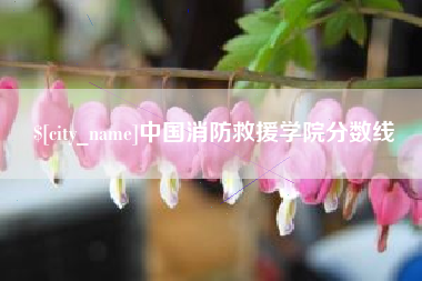 金昌中国消防救援学院分数线