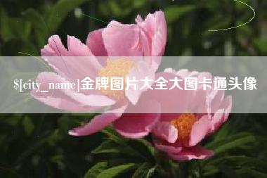 金昌金牌图片大全大图卡通头像