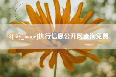 金昌执行信息公开网查询免费